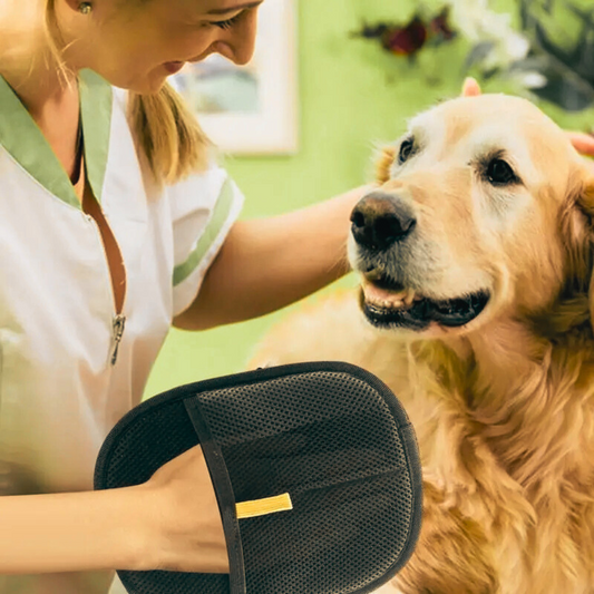 Double-Sided Pet Hair Remover Glove
