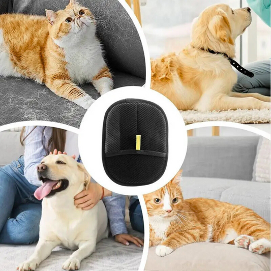 Double-Sided Pet Hair Remover Glove