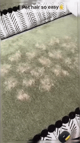 Double-Sided Pet Hair Remover Glove